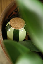 Charger l'image dans la galerie, olla-hydratante-vert-et-vert-pepin