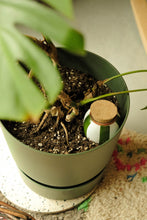 Charger l'image dans la galerie, trio-ollas-rayees-pepin-diffuseur-eau-naturelle