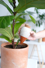 Charger l'image dans la galerie, olla-hydratante-raye-vert-et-blanc-pepin-ecologique