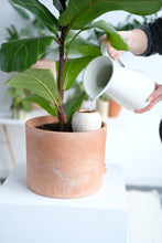 Charger l'image dans la galerie, olla-hydratante-pepin-ecologique