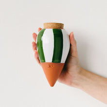 Charger l'image dans la galerie, olla-hydratante-raye-vert-et-blanc-pepin-ecologique