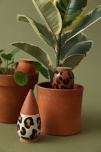 Charger l'image dans la galerie, trio-mini-olla-leopards-pepin