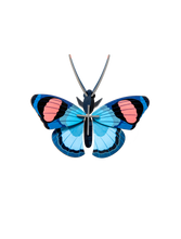 Charger l'image dans la galerie, decoration-murale-papillon-peacock-studio-roof