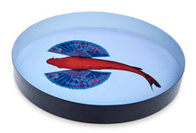 Charger l'image dans la galerie, plateau-rond-fishkoi-gangzai