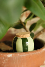 Charger l&#39;image dans la galerie, olla-hydratante-vert-et-vert-pepin
