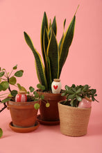Charger l'image dans la galerie, trio-mini-olla-lovers-pepin
