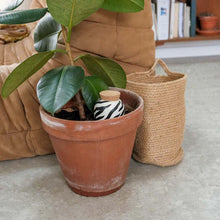 Charger l'image dans la galerie, olla-hydratante-zebre-pepin-ecologique
