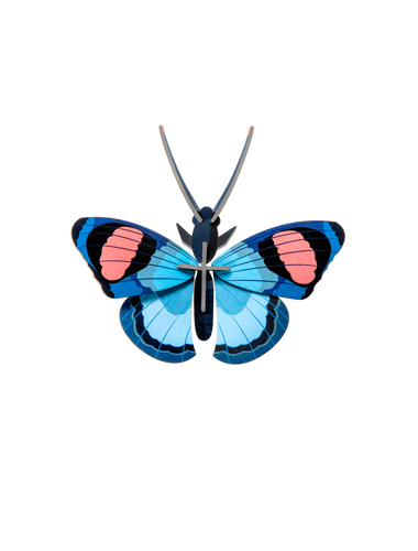 decoration-murale-papillon-peacock-studio-roof